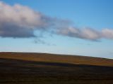 IMG 6854