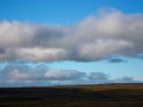 IMG 6856