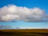 IMG 6858