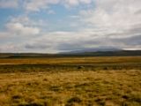 IMG 6865
