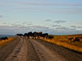 IMG 6873