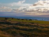 IMG 6878