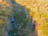 IMG 6880