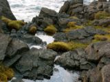 IMG 6964