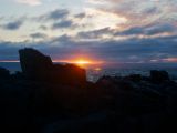 IMG 6980