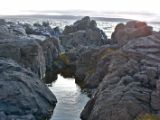 IMG 6986