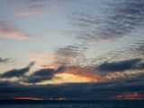 IMG 6989