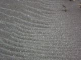 IMG 7045