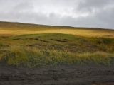 IMG 7053