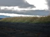 IMG 7055