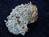 IMG 7057