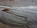 IMG 7058