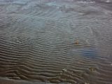 IMG 7066