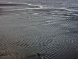 IMG 7068