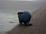IMG 7071