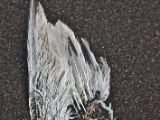 IMG 7080