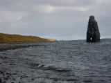 IMG 7119