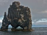 IMG 7146