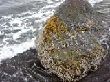 IMG 7163