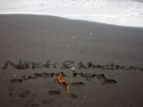 IMG 7173