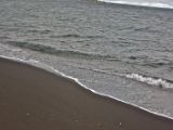 IMG 7175