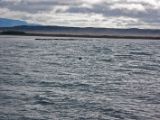 IMG 7176