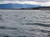 IMG 7177