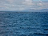IMG 7178