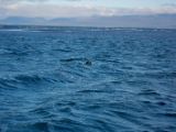 IMG 7182