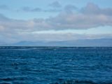 IMG 7191