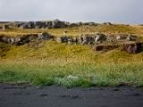 IMG 7197