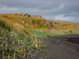 IMG 7210