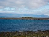 IMG 7211