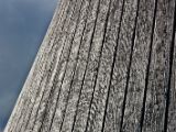 IMG 7229