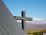 IMG 7231