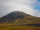 IMG 7240