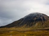 IMG 7242