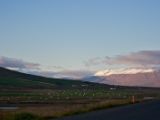 IMG 7255