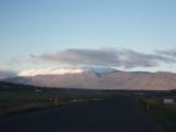 IMG 7260