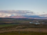 IMG 7264