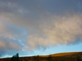 IMG 7276