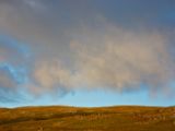 IMG 7277