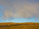 IMG 7278
