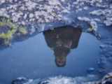 IMG 7283