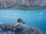 IMG 7284