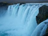 IMG 7317