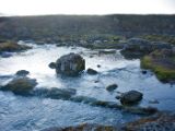 IMG 7353