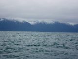 IMG 7398