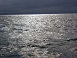IMG 7412