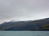 IMG 7437
